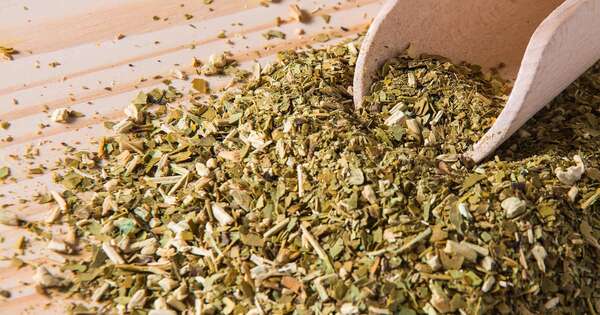 Diario HOY | Yerba mate expande horizontes globales con foco en Estados Unidos