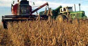 La Nación / Cosecha de soja zafriña alcanza el 40 % con  rendimientos variables