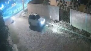 Dictan prisión preventiva para el conductor que atropelló y mató a dos perros en Carapeguá