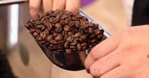La Nación / Ya no es una moda: paraguayos despiertan interés por el café de especialidad