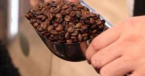 La Nación / Paraguayos despiertan interés por el café de especialidad