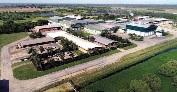 La Nación / Cooperativas de la producción se convierten en polo de desarrollo