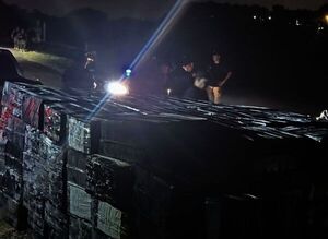 Golpe a vapeadores: decomisaron miles de piezas en la ribera del río Paraná - 1000 Noticias