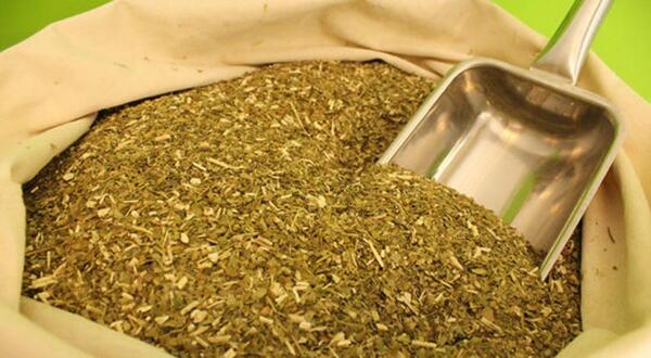 Yerba mate paraguaya despierta interés en el mercado de EE.UU - 1000 Noticias