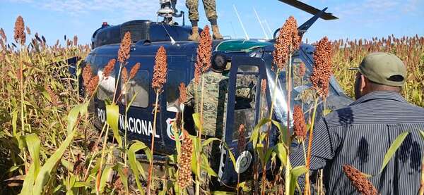 Helicóptero de la Policía cae a tierra en el Chaco - Noticias del Chaco - ABC Color