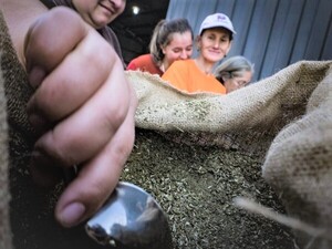 La yerba mate paraguaya ya se exporta a 27 países - El Trueno