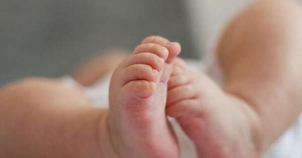 La Nación / Hay una disminución de la natalidad en el país, afirma jefa de Obstetricia