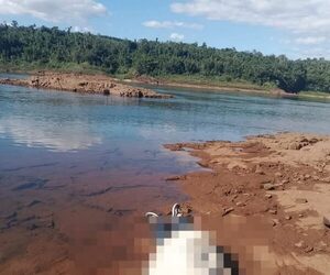 Hallan un cuerpo en aguas del río Paraná