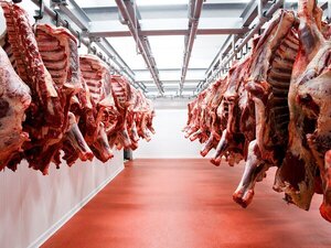 Brasil, el destino que mejor pagó por la carne bovina paraguaya a abril de 2025