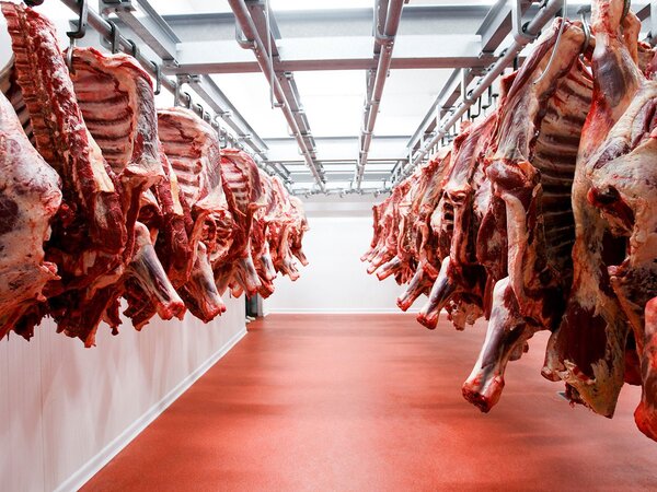 Brasil, el destino que mejor pagó por la carne bovina paraguaya a abril de 2025
