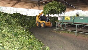 Yerbateros buscan fortalecerse en el mercado de EEUU