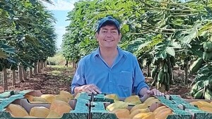 Certificación para 4 ton. de mamón de San Estanislao
