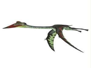 Cómo era el quetzalcoatlus, una criatura prehistórica - Ciencia - ABC Color