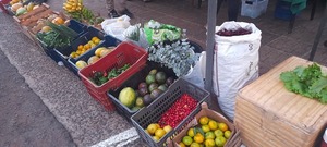 Feria Agroecológica sorprende con innovadores productos