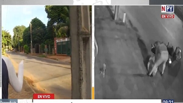 Salvaje asalto a puñaladas a una joven Luque