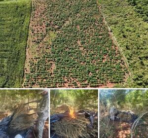 Golpe al narcotráfico: Senad desmantela centro de producción de drogas - ADN Digital