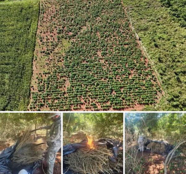 Golpe al narcotráfico: Senad desmantela centro de producción de drogas - ADN Digital