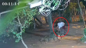 Vecinos de Luque cansados de los presuntos adictos que roban de todo