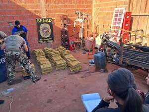 Allanan minimercado e incautan más de media tonelada de marihuana en Pedro Juan Caballero - Nacionales - ABC Color