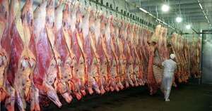 La Nación / Mejora de caminos en el Chaco dinamiza el mercado de la carne