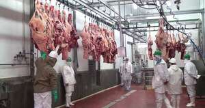 La Nación / Empieza la temporada de faena kosher para exportar carne paraguaya a Israel