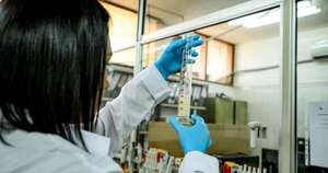 La Nación / Avipar recomienda reforzar bioseguridad por brote de influenza aviar en Brasil