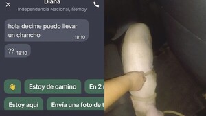 “¿Puedo llevar un chancho?”, le preguntaron a una Bolt