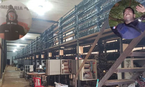 Asalto a criptominera: cae guardia y Fiscalía apunta a más cómplices dentro y fuera del local - OviedoPress