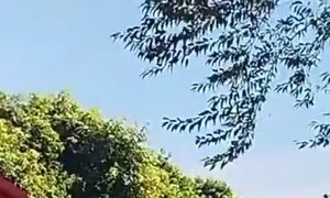 Vecinos de San Alberto están cansados de las carreras clandestinas ¿la emoción vale más que una vida?