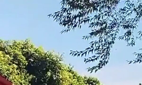 Vecinos de San Alberto están cansados de las carreras clandestinas ¿la emoción vale más que una vida?