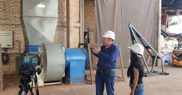 La Nación / Producen semillas con una tecnología propia