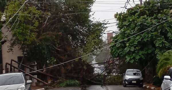 Diario HOY | Tormenta deja daños a su paso en varios puntos del país