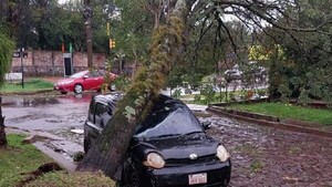 Video: Tormenta deja a su paso árboles caídos, heridos y destrozos en Itapúa y Misiones