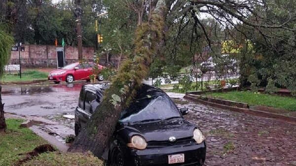 Video: Tormenta deja a su paso árboles caídos, heridos y destrozos en Itapúa y Misiones