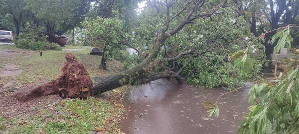 Temporal en Encarnación: Vientos de 100 km/h causaron destrozos