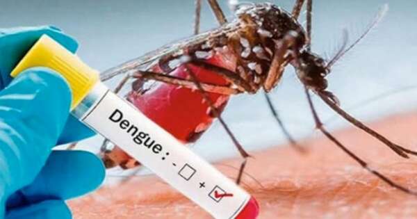 La Nación / Reportan aumento de casos sospechosos de dengue