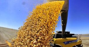 La soja en la Bolsa de Chicago cayó 29,75 centavos a 10,48 dólares por bushel