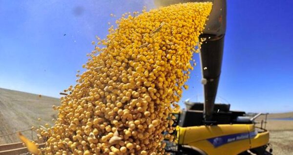La soja en la Bolsa de Chicago cayó 29,75 centavos a 10,48 dólares por bushel