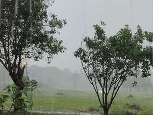 Meteorología: inicio de semana con lluvias y tormentas en Paraguay  - Clima - ABC Color