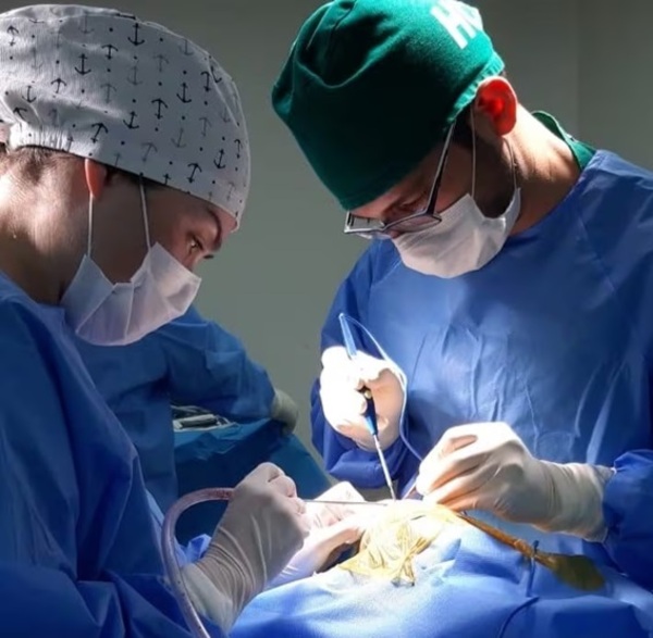 La cirugía de amígdalas no apeligra el sistema inmune