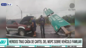 Cartel del MOPC cayó sobre un vehículo familiar en zona del Puente Remanso