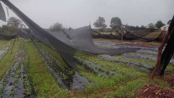Recurren a fondo de protección para productores tras temporal en Itapúa