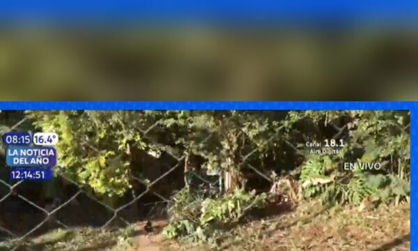 Encuentran un cuerpo con rastro de homicidio en J.A Saldívar