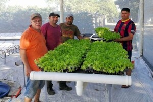 Enseñarán a personas privadas de libertad a producir y ganar