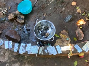Presuntos abortos clandestinos en vivienda de Areguá - Portal Digital Cáritas Universidad Católica