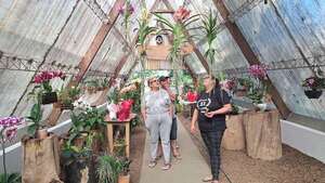 Culminó la Feria de las Flores, pero las ofertas se mantienen - Nacionales - ABC Color