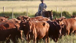 Sin gestión de la información, el campo se vuelve un hobby muy costoso, afirmó Gerente de Albor