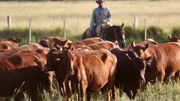 Sin gestión de la información, el campo se vuelve un hobby muy costoso, afirmó Gerente de Albor