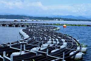 Planta solar flotante más grande del Sudeste Asíatico busca expandir modelo en Paraguay - Nacionales - ABC Color