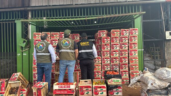 Incautan productos frutihortícolas sin documentación en el Abasto - .::Agencia IP::.
